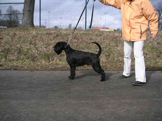 Bild 207.jpg
